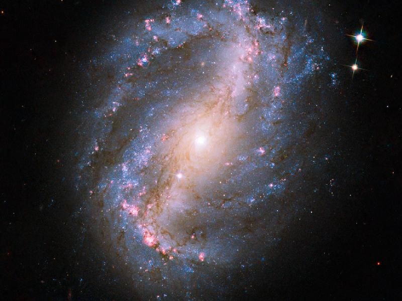 ngc6217 hubble.jpg